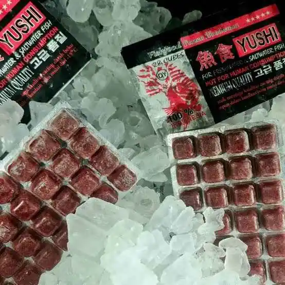 Cacing beku cabek bloodworm
