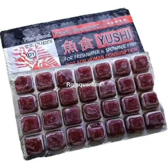 Cacing beku cabek bloodworm