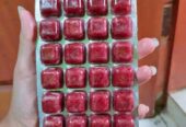 Cacing beku cabek bloodworm
