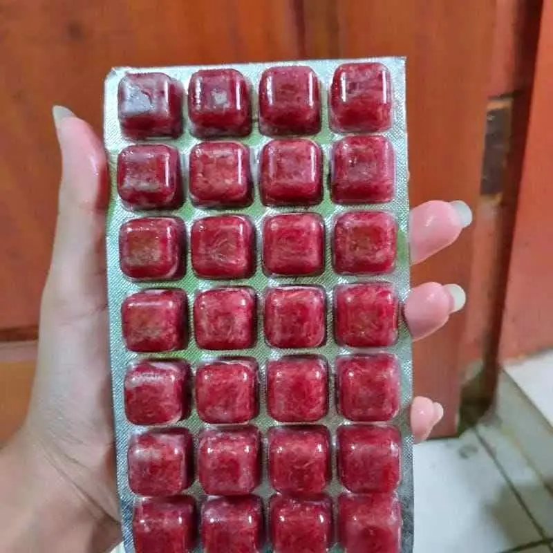 Cacing beku cabek bloodworm