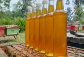 Madu murni asli