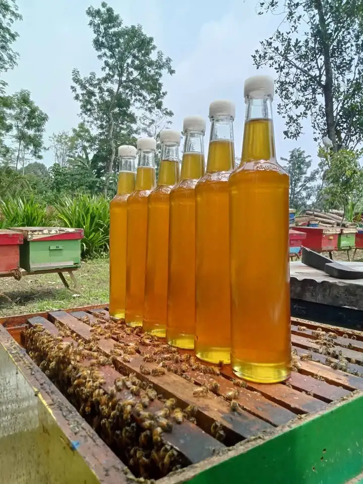 Madu murni asli