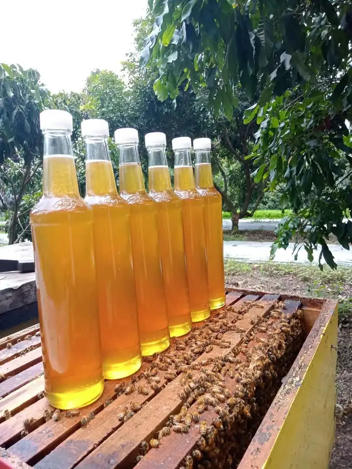 Madu murni asli