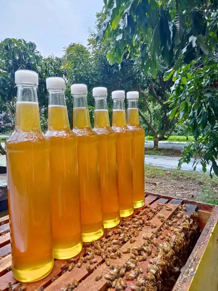 Madu murni asli