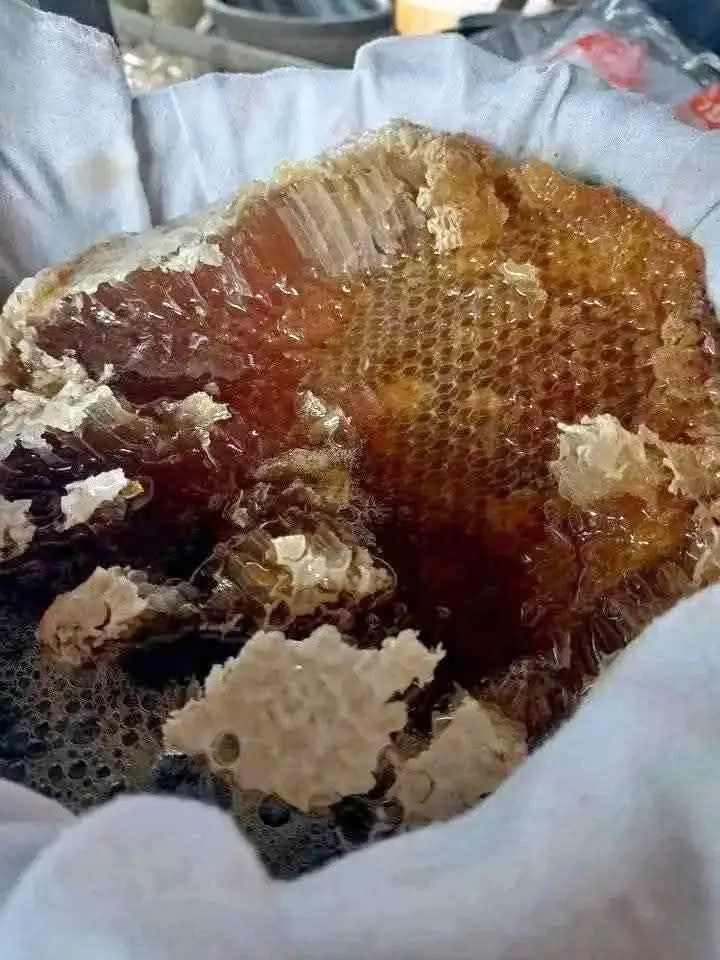 Madu 100% murni alam