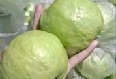 Jambu kristal