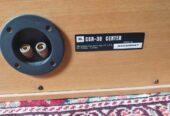 Speaker JBL center + sourond