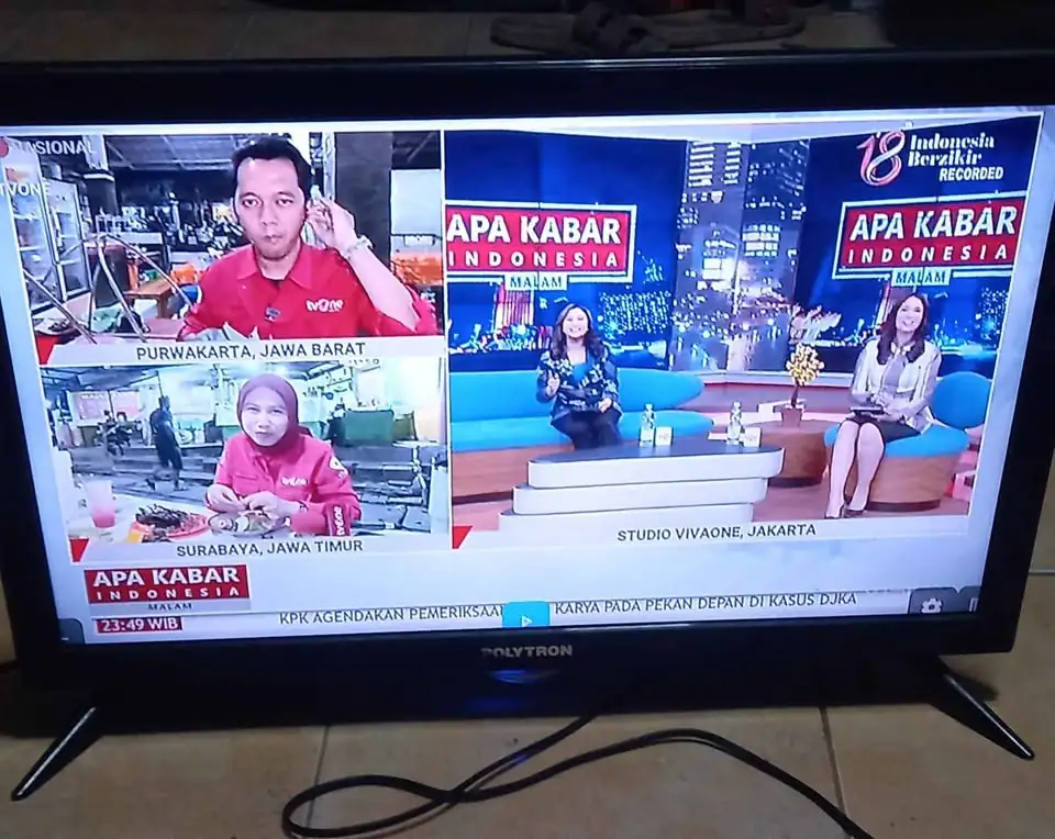 Tv polytron 24 in