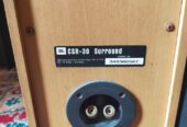 Speaker JBL center + sourond