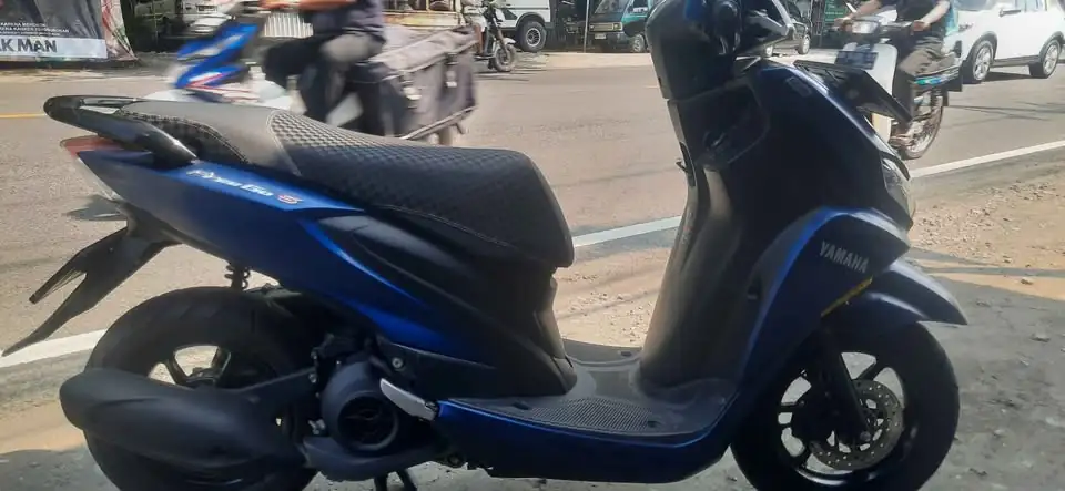 2020 Yamaha freego