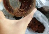 Gula Aren asli