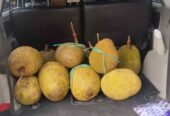 Buah Nangka utuh dan Kupas