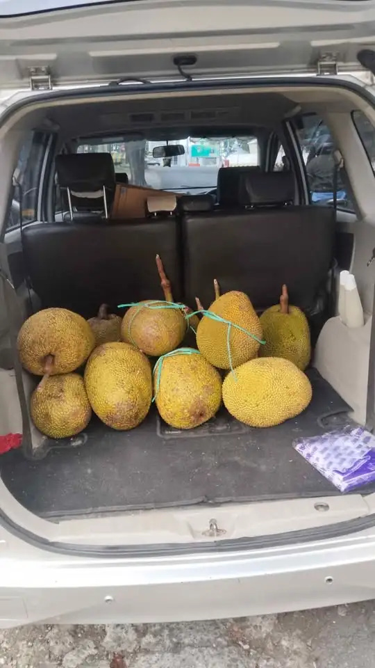 Buah Nangka utuh dan Kupas