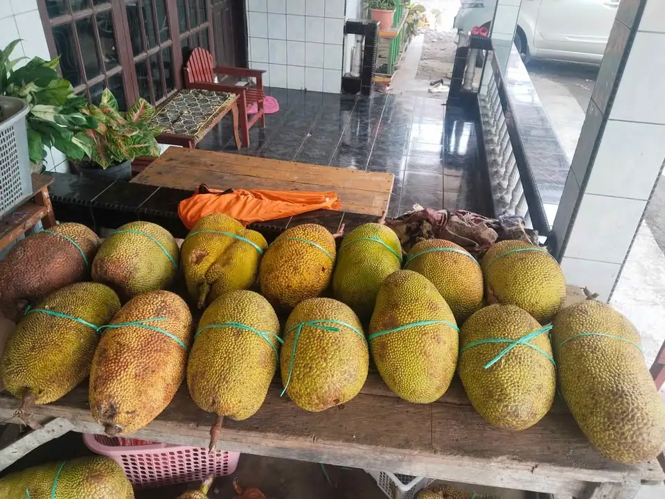 Buah Nangka utuh dan Kupas