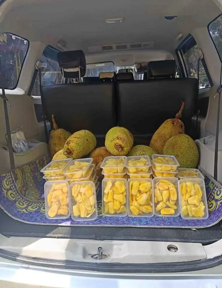Buah Nangka utuh dan Kupas