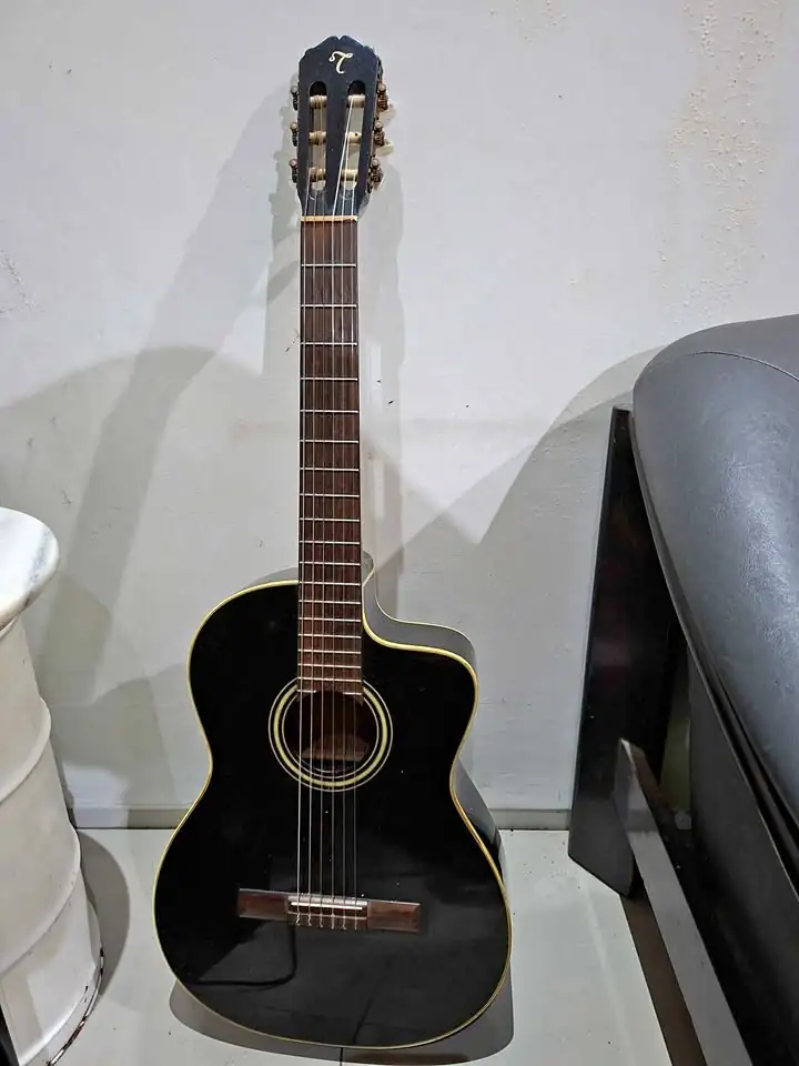 Takamine Dseries Original