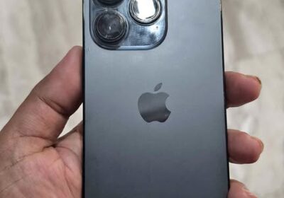 677829802_2006986346857813_3537285544098249347_n