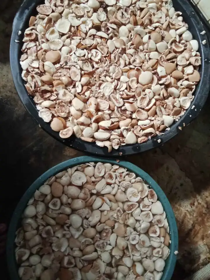 Pempek Palembang asli ,gula batok,kabau