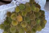 Durian trengalek grade b & c