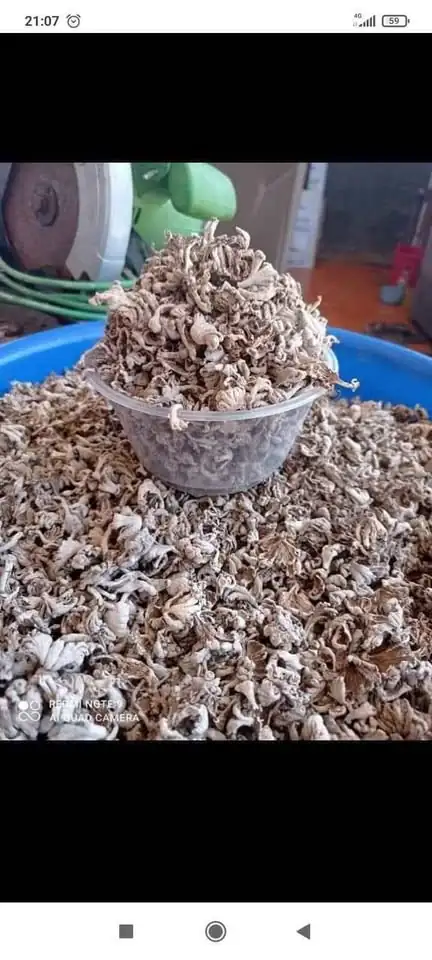 Pempek Palembang asli ,gula batok,kabau
