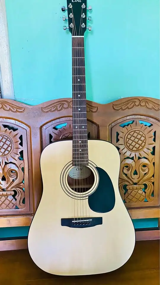 Jual Gitar Akustik Cort AD 810 OP